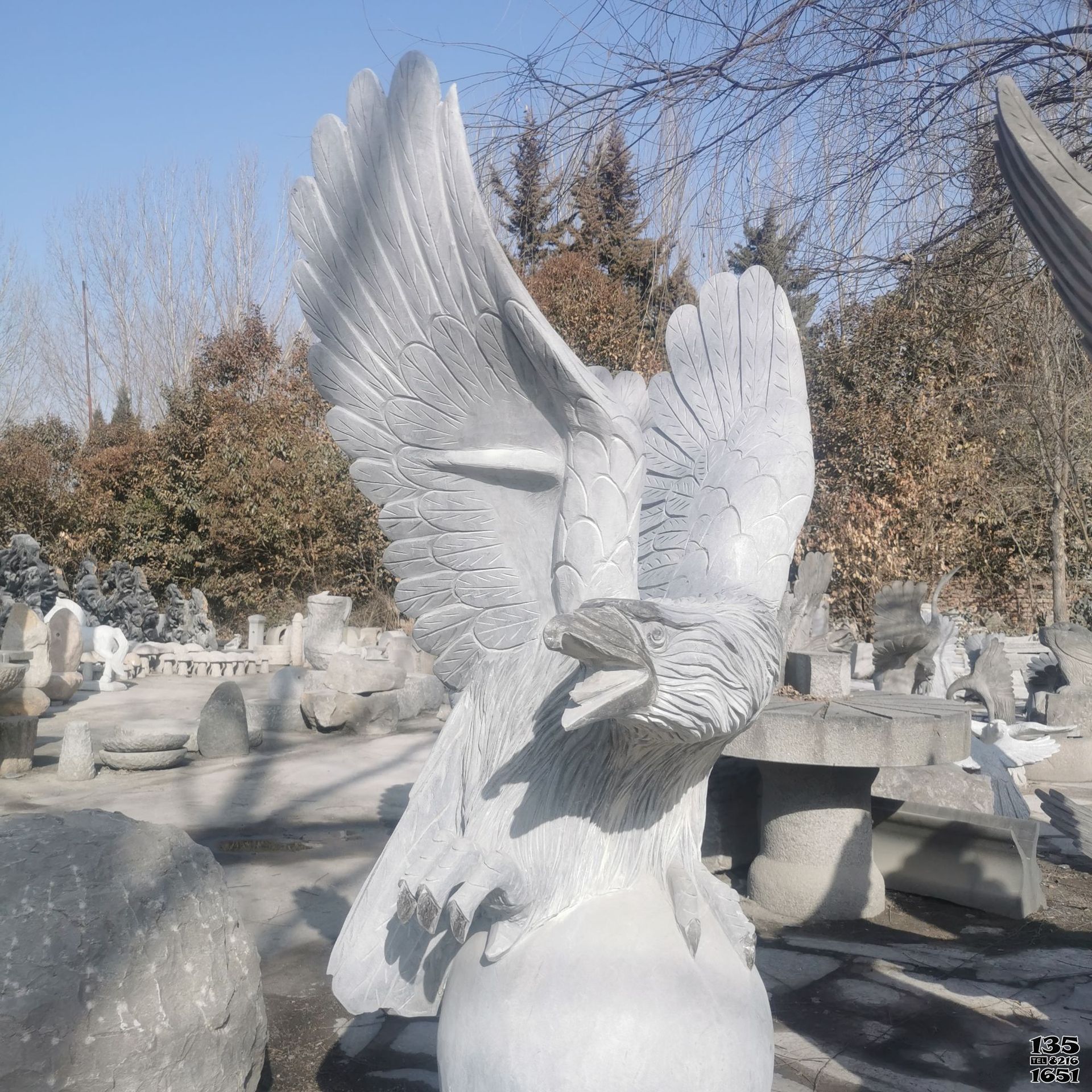 老鷹雕塑-公園一只漢白玉石雕老鷹雕塑 老鷹雕塑-公園一只漢白玉石雕老鷹雕塑高清圖片
