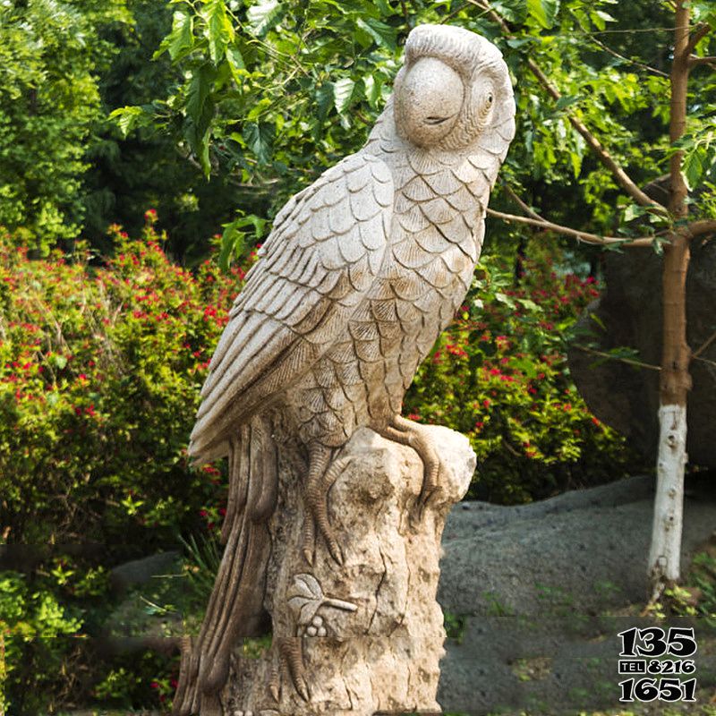 鸚鵡雕塑-公園廣場漢白玉創意鸚鵡雕塑 鸚鵡雕塑-公園廣場漢白玉創意鸚鵡雕塑高清圖片