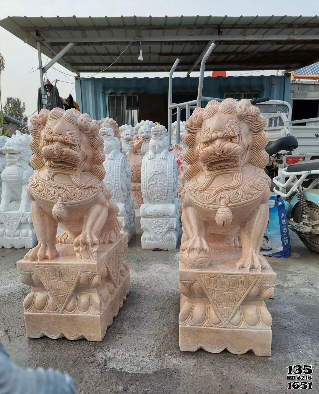 獅子雕塑-庭院祠堂晚霞紅石雕一對看門的獅子雕塑 獅子雕塑-庭院祠堂晚霞紅石雕一對看門的獅子雕塑高清圖片