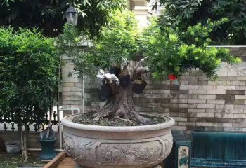 缸雕塑-庭院大型大理石石雕種樹的缸雕塑
