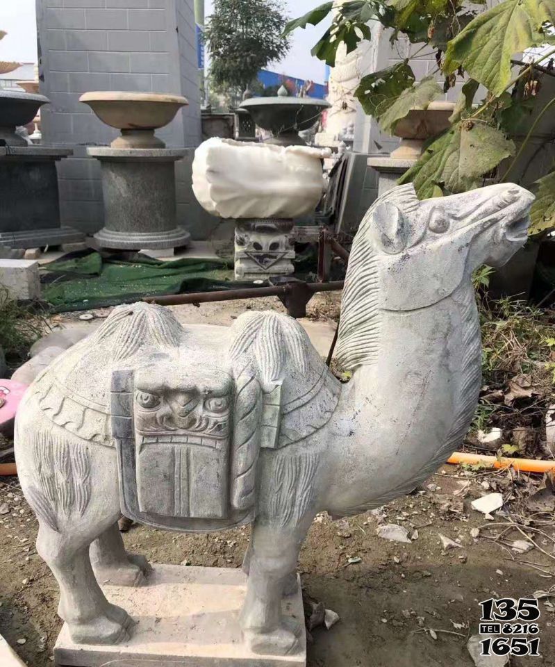 駱駝雕塑-公園擺放的吃樹葉的青石石雕創意駱駝雕塑 駱駝雕塑-公園擺放的吃樹葉的青石石雕創意駱駝雕塑高清圖片
