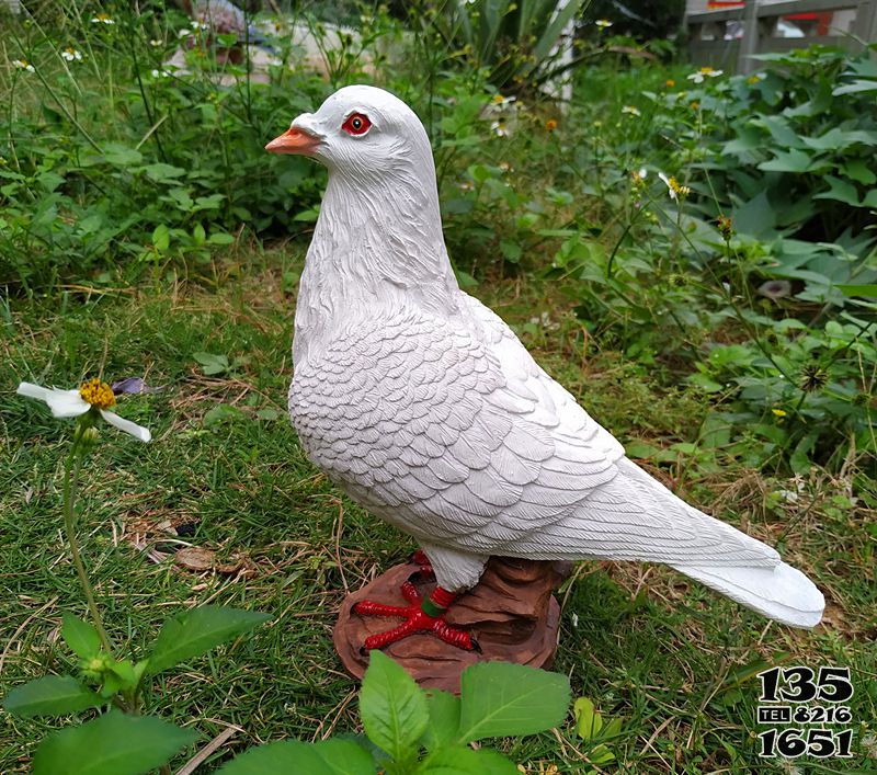 鴿子雕塑-玻璃鋼樹脂戶外庭院裝飾擺件 鴿子雕塑-玻璃鋼樹脂戶外庭院裝飾擺件高清圖片