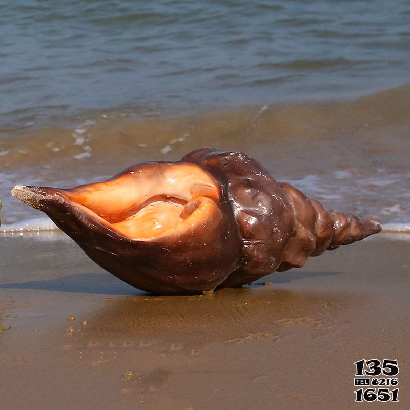 海螺雕塑-室內擺放的棕色的玻璃鋼噴漆海螺雕塑 海螺雕塑-室內擺放的棕色的玻璃鋼噴漆海螺雕塑高清圖片