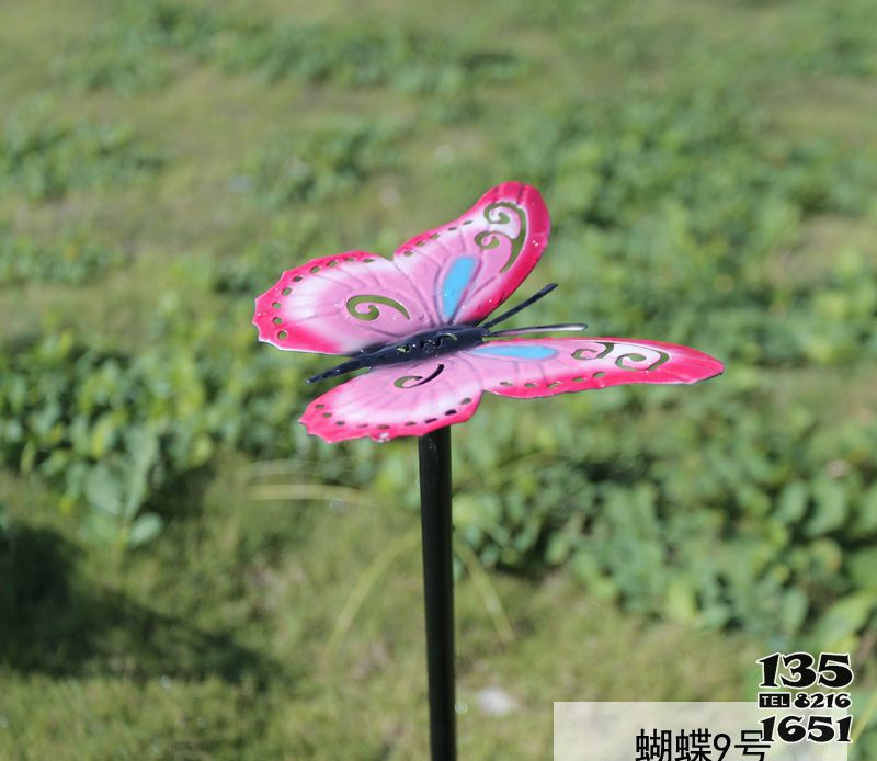 蝴蝶雕塑-公園不銹鋼創(chuàng)意蝴蝶雕塑 蝴蝶雕塑-公園不銹鋼創(chuàng)意蝴蝶雕塑高清圖片