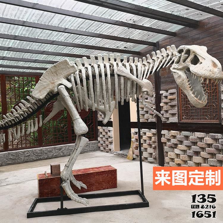 恐龍雕塑-大型全新仿真恐龍骨架骨骼化石玻璃鋼景區(qū)博物館恐龍雕塑 恐龍雕塑-大型全新仿真恐龍骨架骨骼化石玻璃鋼景區(qū)博物館恐龍雕塑高清圖片