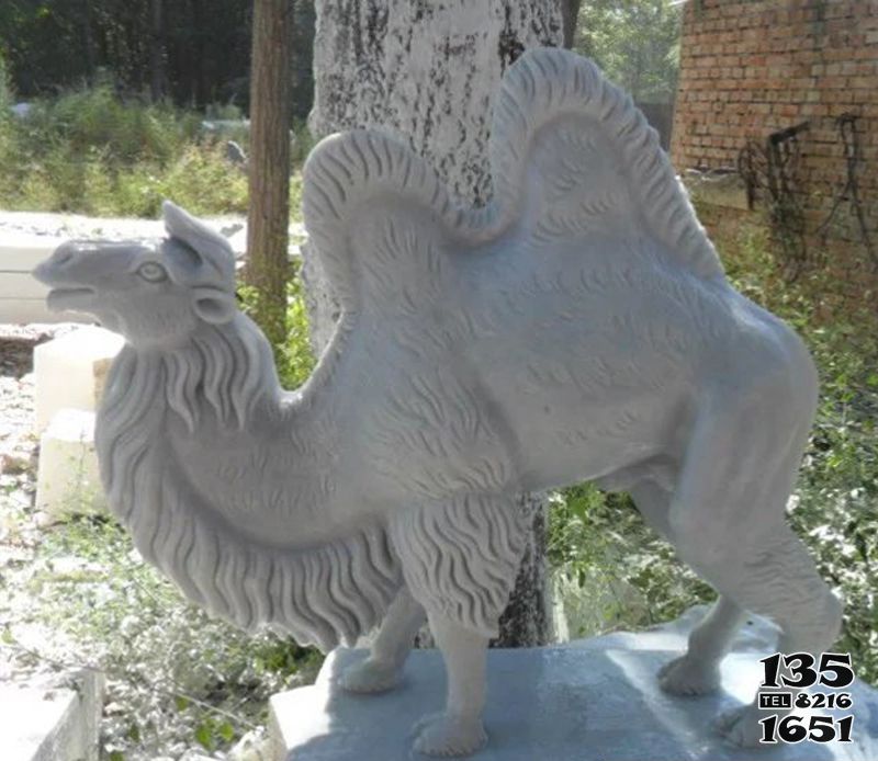 駱駝雕塑-公園擺放的漢白玉石雕創意駱駝雕塑 駱駝雕塑-公園擺放的漢白玉石雕創意駱駝雕塑高清圖片