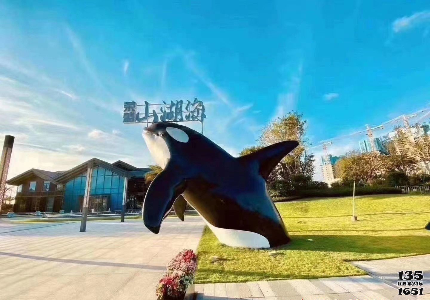鯨魚雕塑-公園擺放的半身玻璃鋼彩繪鯨魚雕塑 鯨魚雕塑-公園擺放的半身玻璃鋼彩繪鯨魚雕塑高清圖片