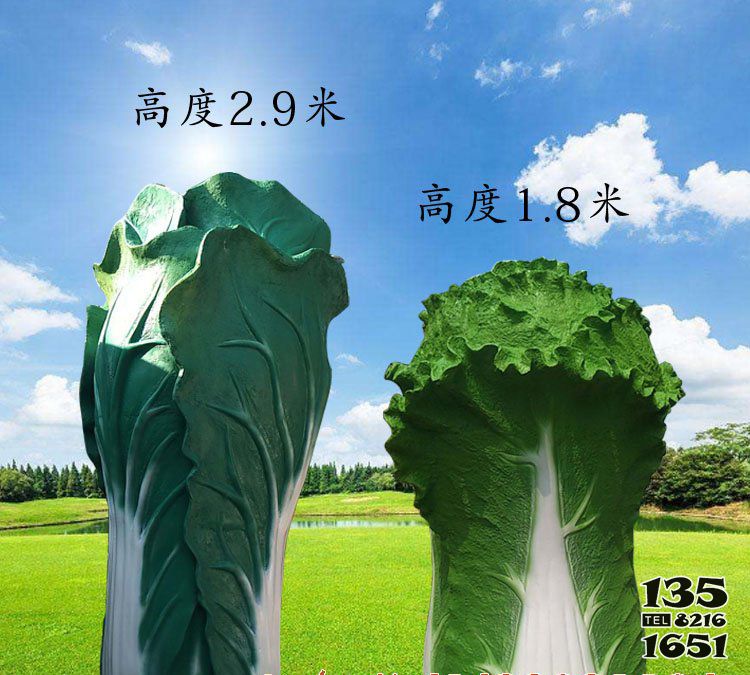白菜雕塑-室內玻璃鋼白菜雕塑 白菜雕塑-室內玻璃鋼白菜雕塑高清圖片
