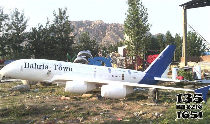 飛機(jī)雕塑-公園草坪創(chuàng)意彩繪玻璃鋼工藝品飛機(jī)雕塑 飛機(jī)雕塑-公園草坪創(chuàng)意彩繪玻璃鋼工藝品飛機(jī)雕塑高清圖片