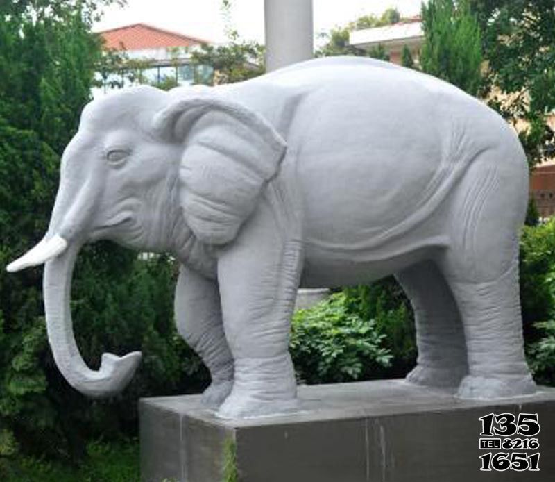 大象雕塑-大理石石雕園林大型動物景觀大象雕塑 大象雕塑-大理石石雕園林大型動物景觀大象雕塑高清圖片