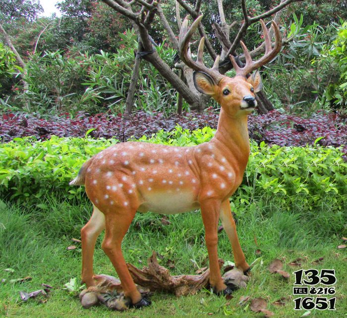 鹿雕塑-公園景區(qū)玻璃鋼彩繪一只站立中的鹿雕塑 鹿雕塑-公園景區(qū)玻璃鋼彩繪一只站立中的鹿雕塑高清圖片