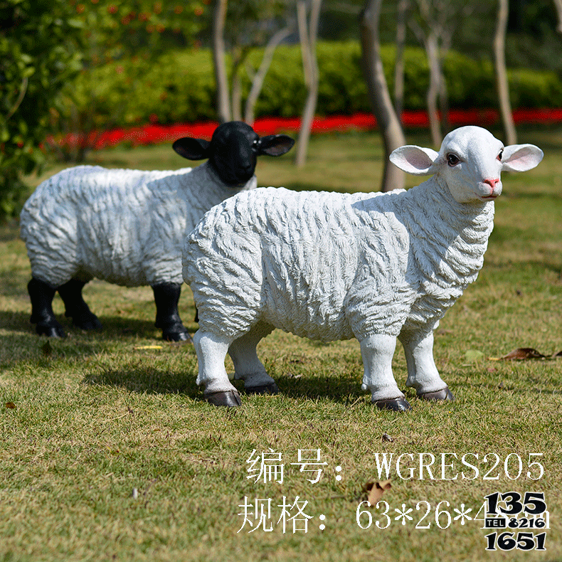 綿羊雕塑-公園草地擺放的一只黑頭的玻璃鋼創意綿羊雕塑 綿羊雕塑-公園草地擺放的一只黑頭的玻璃鋼創意綿羊雕塑高清圖片