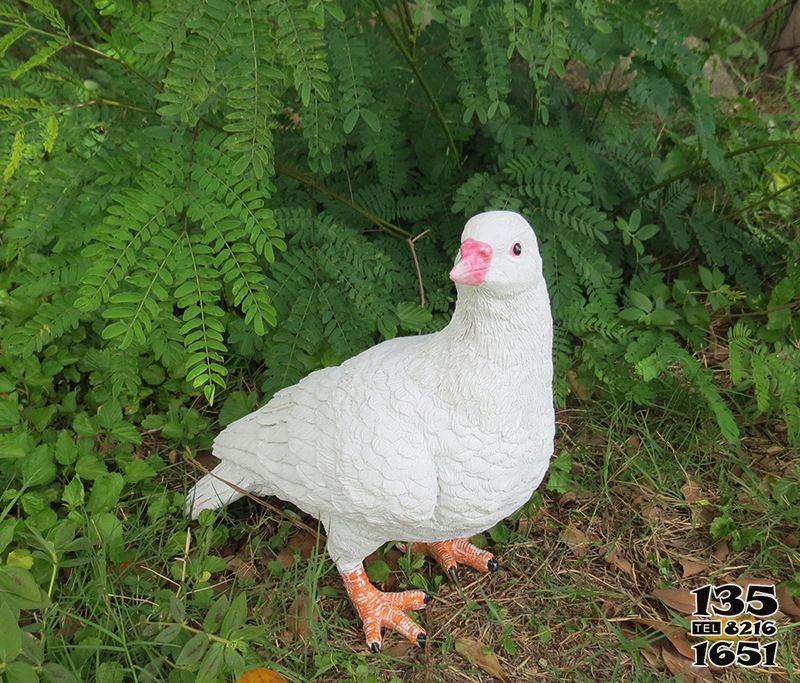 鴿子雕塑-公園戶外樹脂擺件鴿子雕塑 鴿子雕塑-公園戶外樹脂擺件鴿子雕塑高清圖片