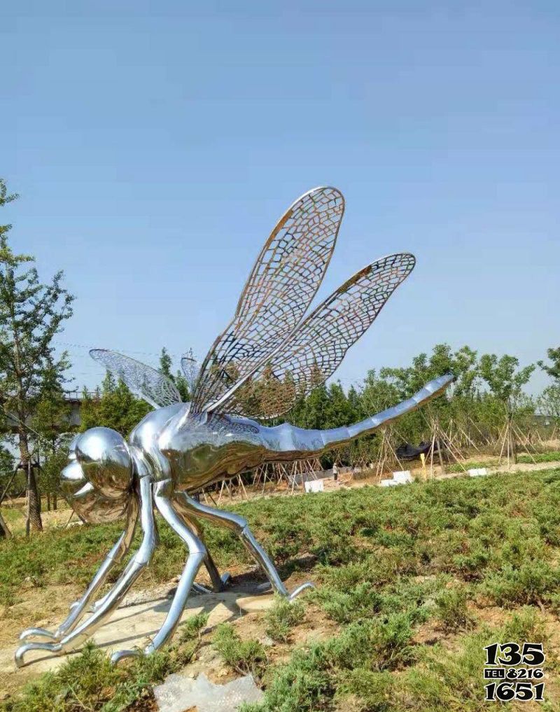 蜻蜓雕塑-公園學校鏡面鏤空不銹鋼蜻蜓雕塑 蜻蜓雕塑-公園學校鏡面鏤空不銹鋼蜻蜓雕塑高清圖片