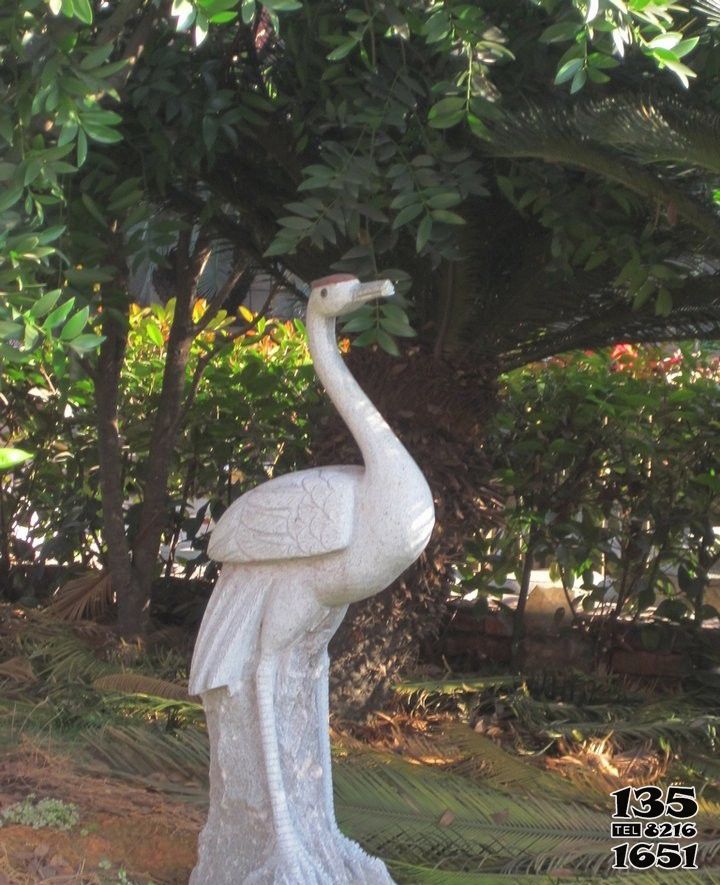 仙鶴雕塑-戶外公園漢白玉石雕仙鶴雕塑 仙鶴雕塑-戶外公園漢白玉石雕仙鶴雕塑高清圖片