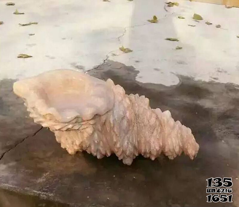 海螺雕塑-室內(nèi)擺放的花崗巖石雕創(chuàng)意海螺雕塑 海螺雕塑-室內(nèi)擺放的花崗巖石雕創(chuàng)意海螺雕塑高清圖片