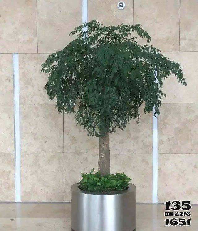 花盆雕塑-企業(yè)不銹鋼創(chuàng)意花盆雕塑 花盆雕塑-企業(yè)不銹鋼創(chuàng)意花盆雕塑高清圖片