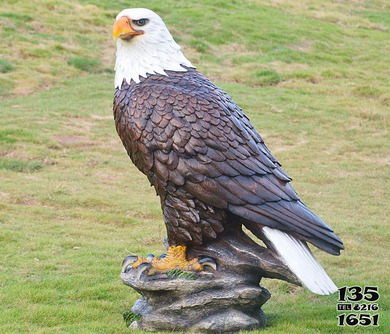 老鷹雕塑-動物園一只孤獨的樹脂老鷹雕塑 老鷹雕塑-動物園一只孤獨的樹脂老鷹雕塑高清圖片