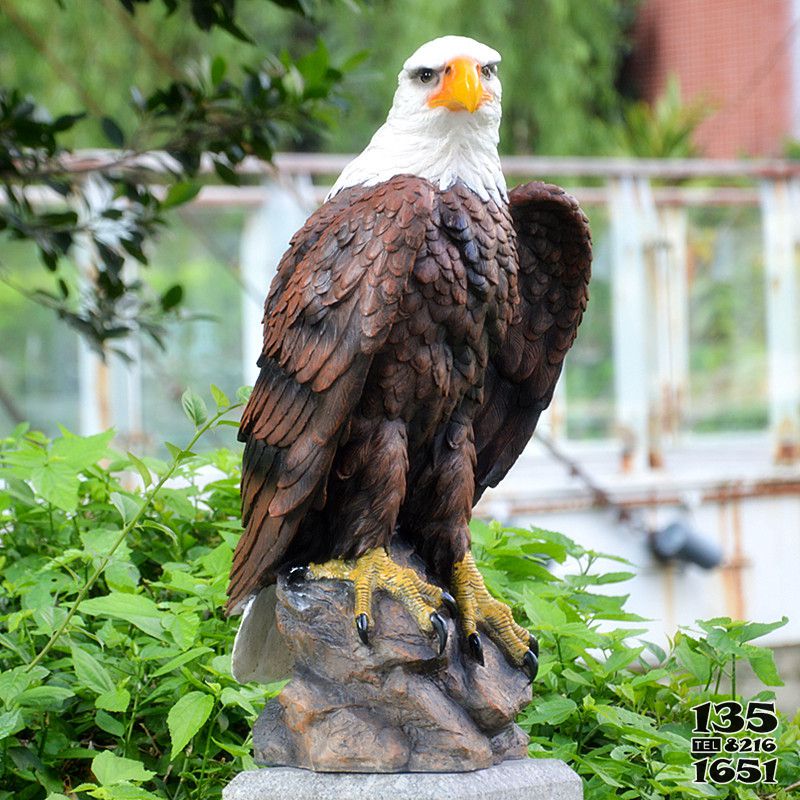 老鷹雕塑-公園一只仿真樹脂老鷹雕塑 老鷹雕塑-公園一只仿真樹脂老鷹雕塑高清圖片