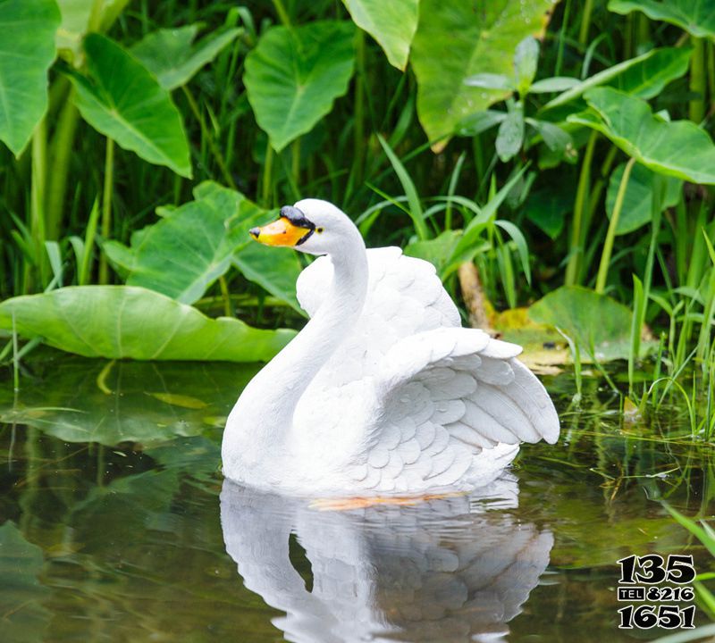 天鵝雕塑-庭院水中嬉戲的玻璃鋼樹脂天鵝雕塑 天鵝雕塑-庭院水中嬉戲的玻璃鋼樹脂天鵝雕塑高清圖片