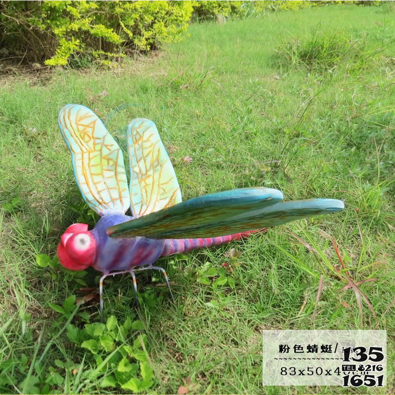 蜻蜓雕塑-小學兒童樂園擺放卡通玻璃鋼蜻蜓雕塑 蜻蜓雕塑-小學兒童樂園擺放卡通玻璃鋼蜻蜓雕塑高清圖片