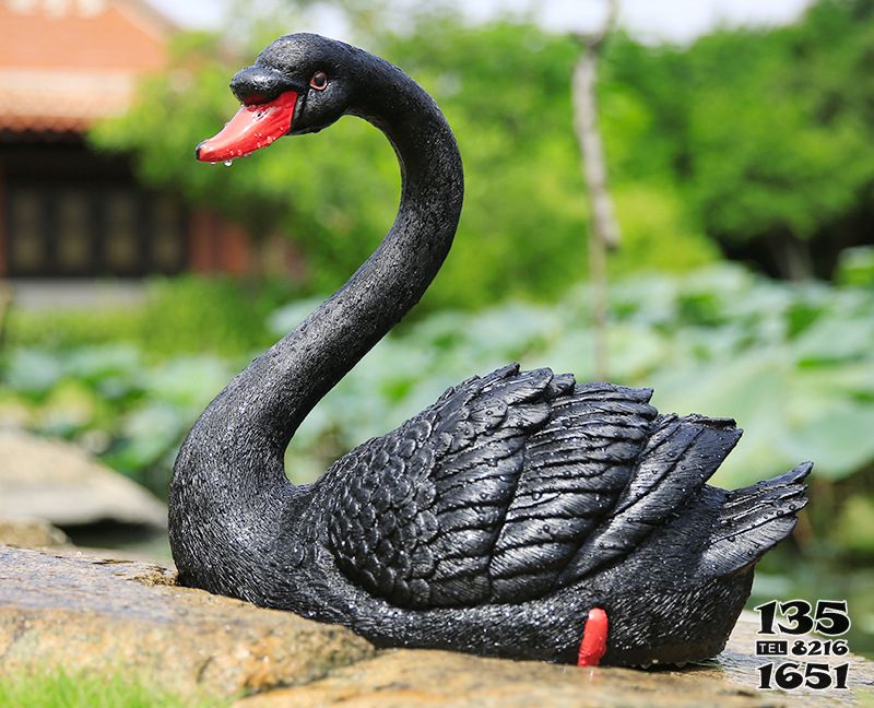 天鵝雕塑-湖邊休息覓食大理石黑天鵝雕塑 天鵝雕塑-湖邊休息覓食大理石黑天鵝雕塑高清圖片
