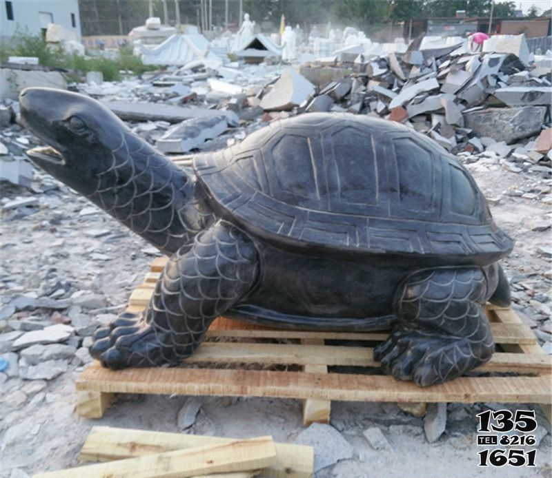 烏龜雕塑-戶外草坪創意不銹鋼仿銅烏龜雕塑 烏龜雕塑-戶外草坪創意不銹鋼仿銅烏龜雕塑高清圖片