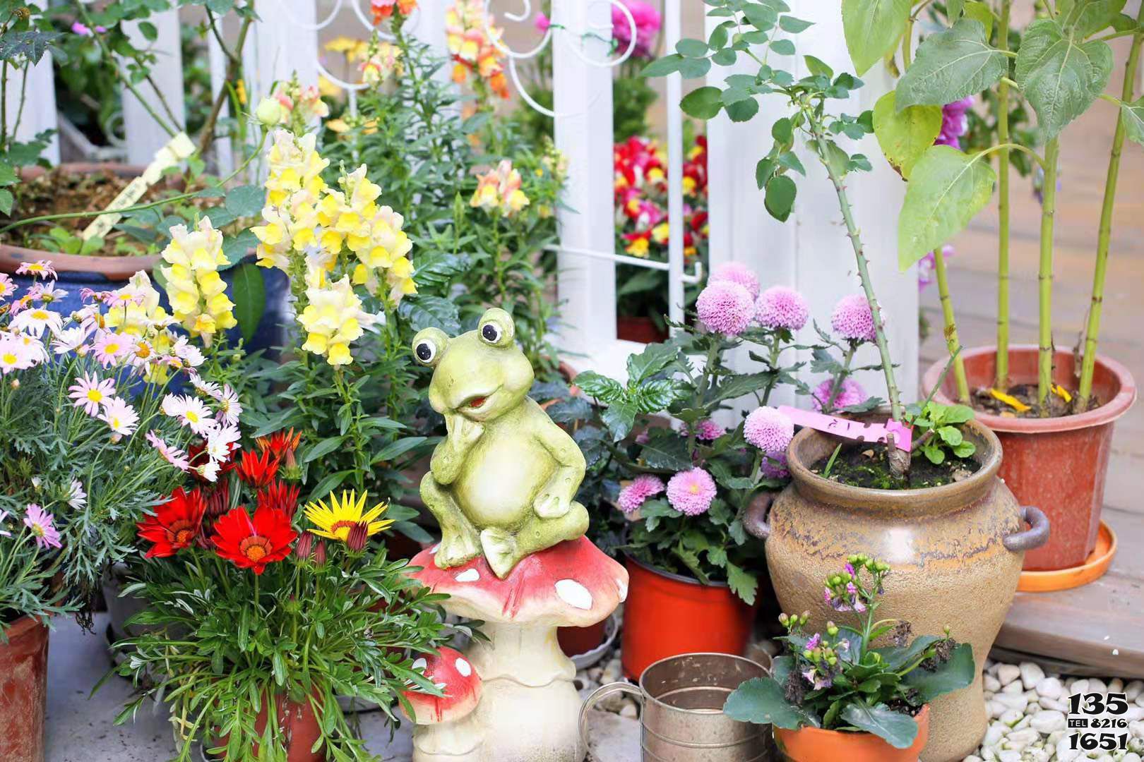 青蛙雕塑-花園一只可愛的玻璃鋼青蛙雕塑 青蛙雕塑-花園一只可愛的玻璃鋼青蛙雕塑