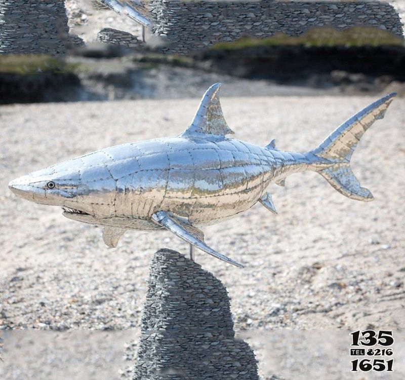 鯊魚雕塑-海邊一只不銹鋼鯊魚雕塑 鯊魚雕塑-海邊一只不銹鋼鯊魚雕塑高清圖片