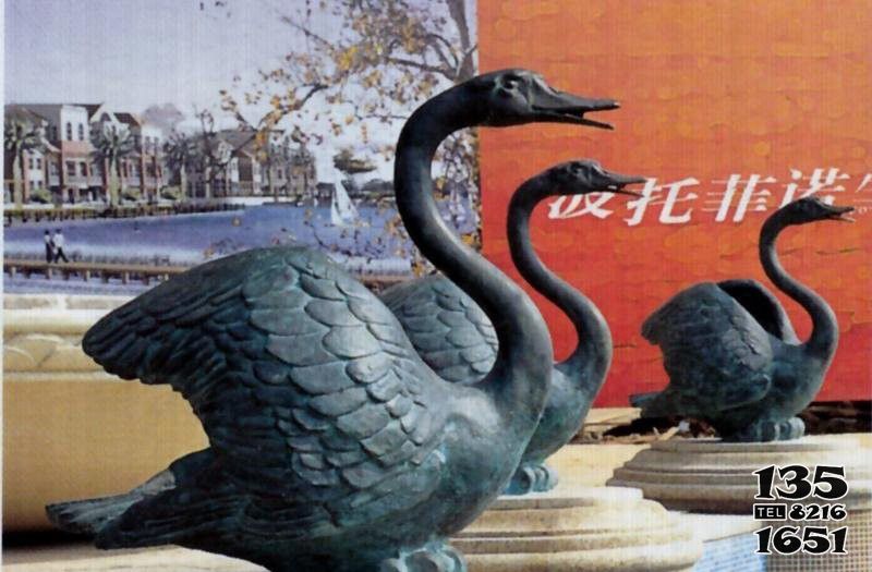 天鵝雕塑-戶外酒店銅鑄彩繪創意玻璃鋼黑天鵝雕塑 天鵝雕塑-戶外酒店銅鑄彩繪創意玻璃鋼黑天鵝雕塑高清圖片