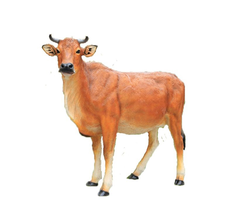 玻璃鋼仿真黃牛雕塑-玻璃鋼仿真黃牛雕塑 公園動物雕塑 玻璃鋼仿真黃牛雕塑-玻璃鋼仿真黃牛雕塑 公園動物雕塑高清圖片