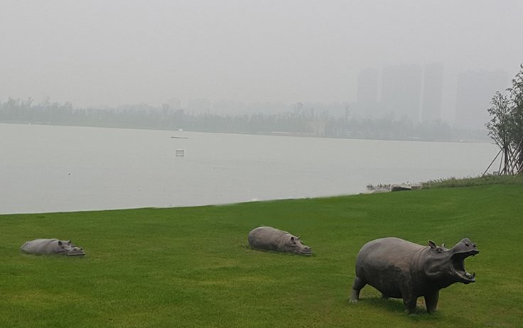銅雕河馬公園動(dòng)物雕塑-公園動(dòng)物銅雕河馬 銅雕河馬公園動(dòng)物雕塑-公園動(dòng)物銅雕河馬