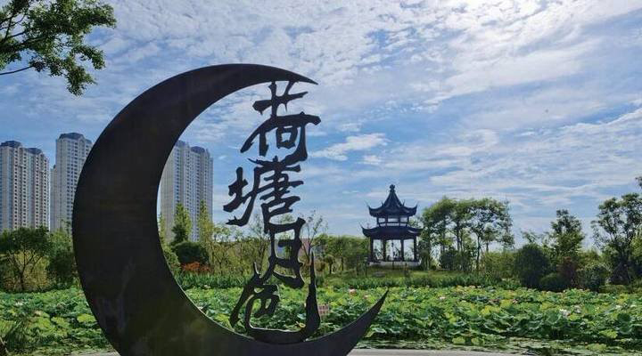 公園荷塘月色銅雕-公園小區荷塘月色銅雕 公園荷塘月色銅雕-公園小區荷塘月色銅雕高清圖片