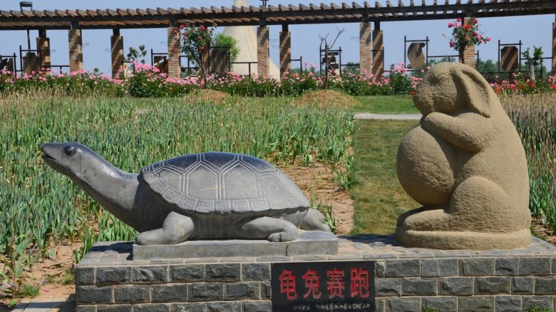 石雕龜兔賽跑動物雕塑-公園龜兔賽跑石雕 石雕龜兔賽跑動物雕塑-公園龜兔賽跑石雕高清圖片