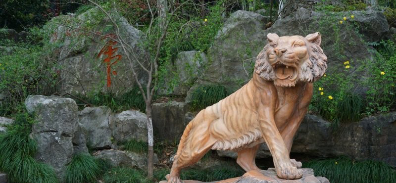 石雕老虎公園動物-石雕老虎動物雕塑 石雕老虎公園動物-石雕老虎動物雕塑高清圖片