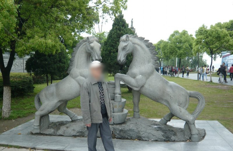 石雕馬到成功馬-公園小區石雕馬 石雕馬到成功馬-公園小區石雕馬高清圖片