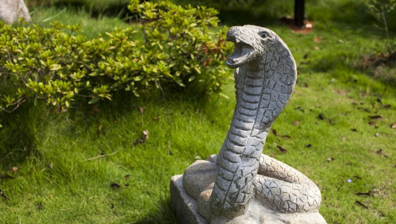 石雕眼鏡蛇公園動物雕塑-眼鏡蛇石雕公園動物 石雕眼鏡蛇公園動物雕塑-眼鏡蛇石雕公園動物高清圖片