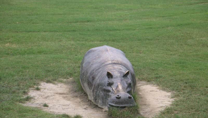 銅雕趴著的河馬-銅雕河馬公園動物雕塑 銅雕趴著的河馬-銅雕河馬公園動物雕塑