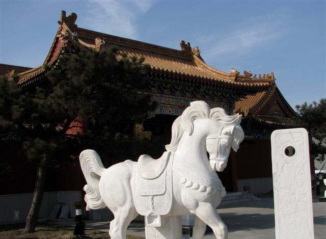 石雕小馬-漢白玉小馬石雕 石雕小馬-漢白玉小馬石雕高清圖片