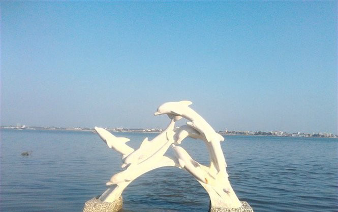 漢白玉玩耍海豚石雕-海邊動物漢白玉海豚石雕 漢白玉玩耍海豚石雕-海邊動物漢白玉海豚石雕高清圖片
