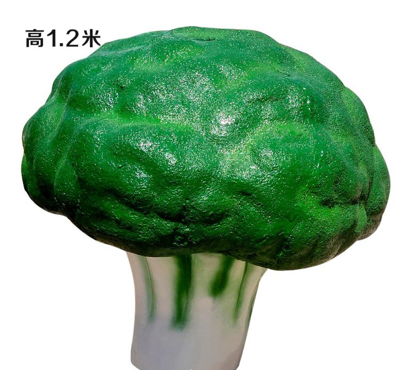 玻璃鋼菜花雕塑-玻璃鋼菜花雕塑,仿真玻璃鋼菜花雕塑 玻璃鋼菜花雕塑-玻璃鋼菜花雕塑,仿真玻璃鋼菜花雕塑高清圖片