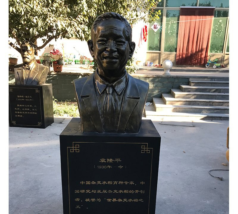 校園名人袁隆平頭像銅雕-校園名人銅雕 袁隆平銅雕 校園名人袁隆平頭像銅雕-校園名人銅雕 袁隆平銅雕高清圖片