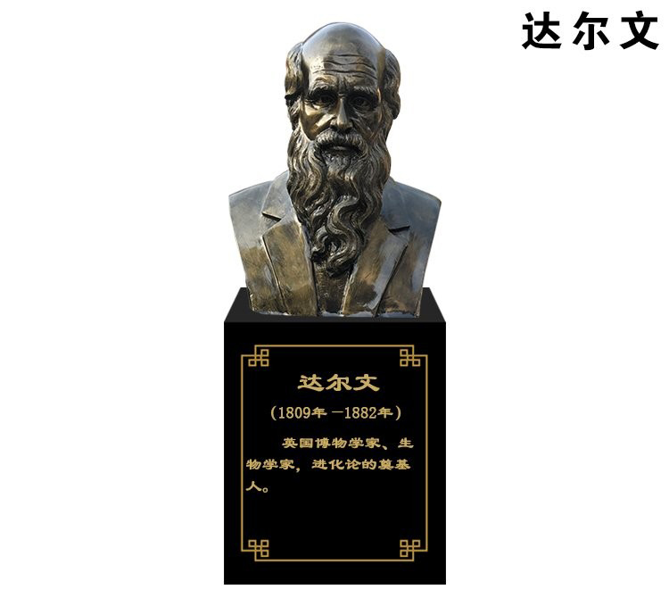玻璃鋼仿銅達爾文頭像雕塑-玻璃鋼達爾文雕塑 達爾文頭像雕塑 玻璃鋼仿銅達爾文頭像雕塑-玻璃鋼達爾文雕塑 達爾文頭像雕塑